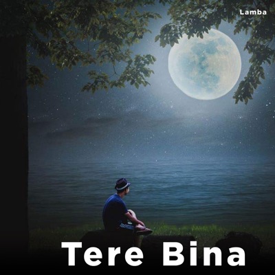 Tere Bina - Single