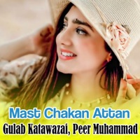 Mast Chakan Attan - Gulab Katawazai & Peer Muhammad