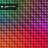 The Way (feat. Pelany) - Single - P4SS3NG3R