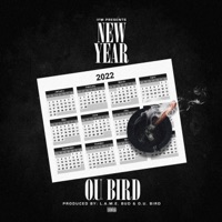New Year - Single - O.U.Bird