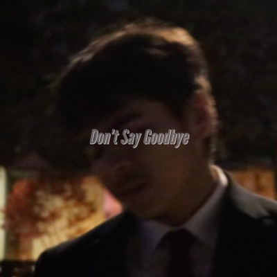 Don't Say Goodbye - Single