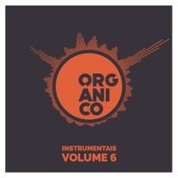 Instrumentais, Vol.6 (Instrumental) - EP - Orgânico & Leo Casa 1