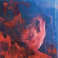 All I Wanna Do (Faisey Remix) - Single - Faisey