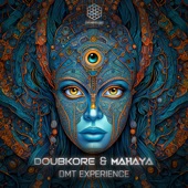 DMT Experience artwork