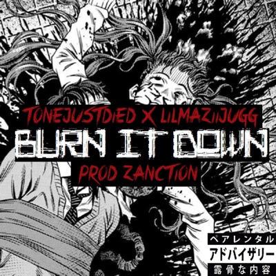 BURN IT DOWN (feat. tønejustdied & LILMAZIIJUGG) - Single