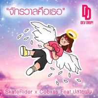 จักรวาลคือเธอ (feat. Cobxss & ปลายฝน) - Single - SKATE RIDER