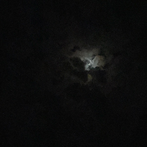 Through the Late Night