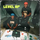 Level Up artwork