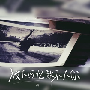 放下回忆放不下你 - Single