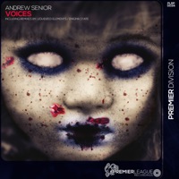 Voices - Andrew Senior