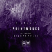 Printworks (Dizharmonia Remix) artwork