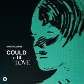 Could It Be Love artwork