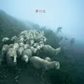 Mediterranean And Aryan