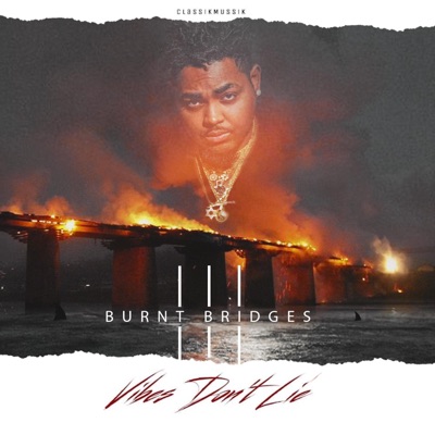 Burnt Bridges III : Vibes Don't Lie