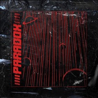 Paradox - Single - Onur Ormen