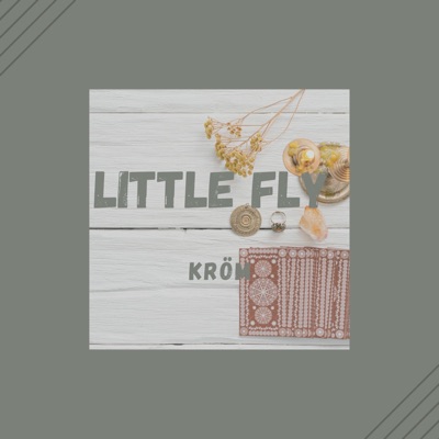 Little Fly (feat. lofighters) - Single