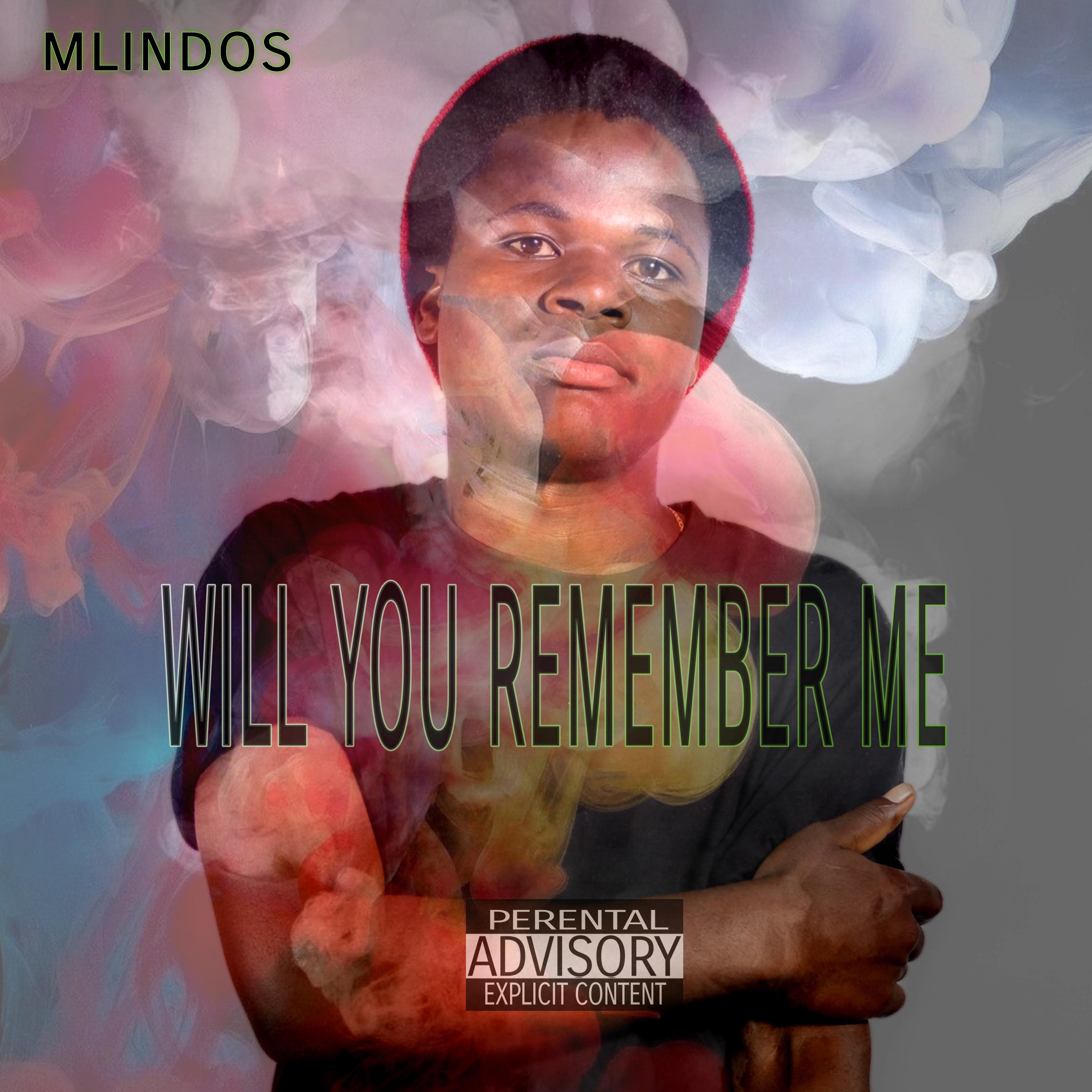 Will You Remember Me - Single