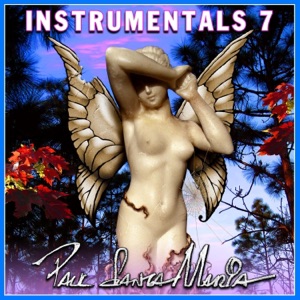 Instrumentals 7