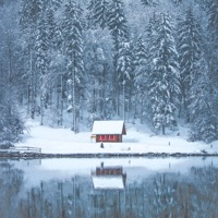 Lakeside - Single - The Yellow One