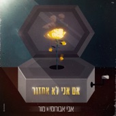 אם אני לא אחזור artwork