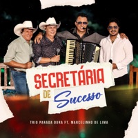 Secretária De Sucesso (Ao Vivo) - Single - Trio Parada Dura & Marcelinho De Lima