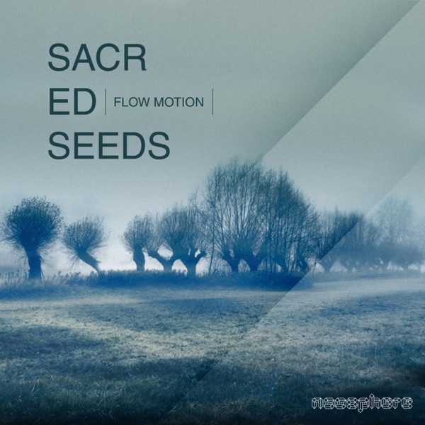 Flow Motion - Single