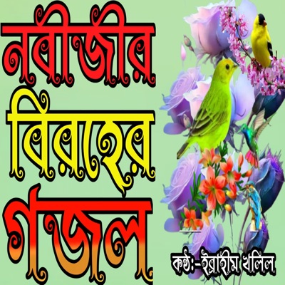 Amar Nobir Preme Pagol Hoile - Single