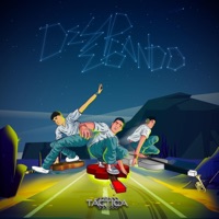 Despegando - Single - La Táctica Oficial
