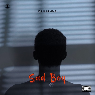 Sad Boy - Single