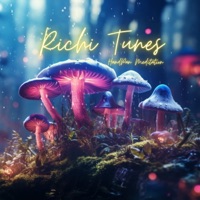 Handpan Meditation - Single - Richi Tunes