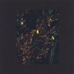 The Passenger / The Walker (Roman Flügel Remix) - Single