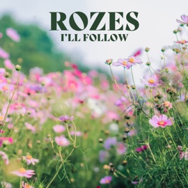 I'll Follow ROZES