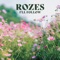 I'll Follow - ROZES lyrics