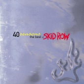 40 Seasons: The Best of Skid Row artwork