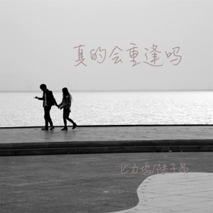 真的会重逢吗 - Single