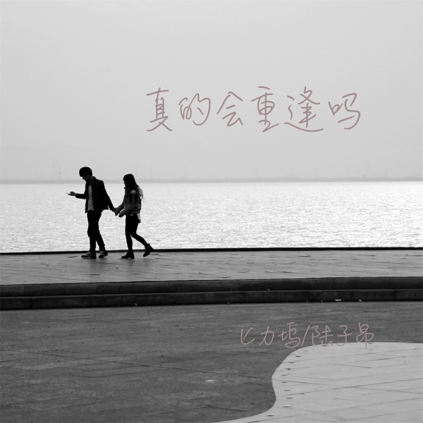 真的会重逢吗 - Single