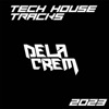 Tech House Tracks 2023