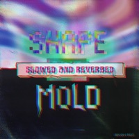 Shape and Mold (Slowed + Reverbed) - Single - Bryson Price