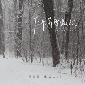 后来等雪飘过 - Single