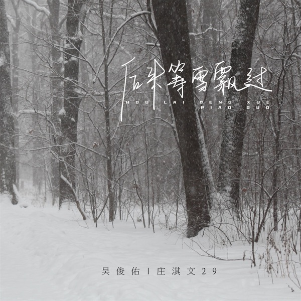 后来等雪飘过 - Single