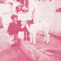 From Gaza, With Love