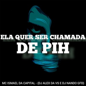 Ela Quer Ser Chamada de PIH (feat. MC Pipokinha)