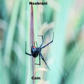 Nsabrani Cain