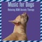 Music Therapy - Relaxmydog & Dog Music Dreams lyrics