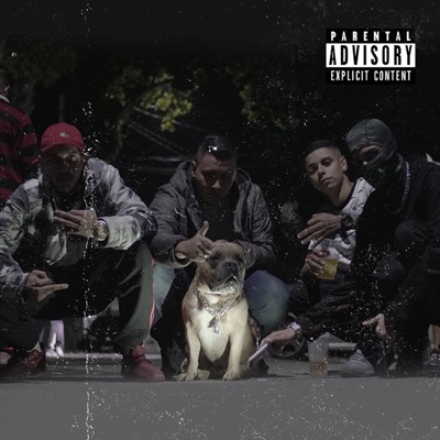 Divagabundo (feat. Tio Claudio) - Single