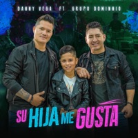 Su Hija Me Gusta (feat. Grupo Dominnio) - Single - Danny Vega
