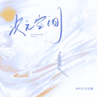 次元空间 - Single - Wav & 王志魁