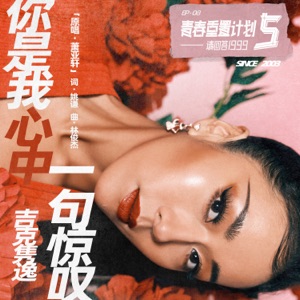 你是我心中一句惊叹(青春重置计划5 请回答1999) - Single