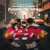 Double Trouble (feat. Shaggy) artwork