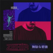 Zehir artwork